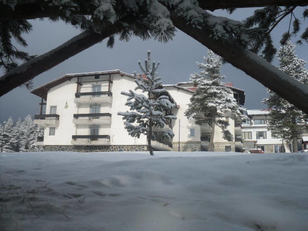 Bor Hotel Belitsa  Eksteriør bilde