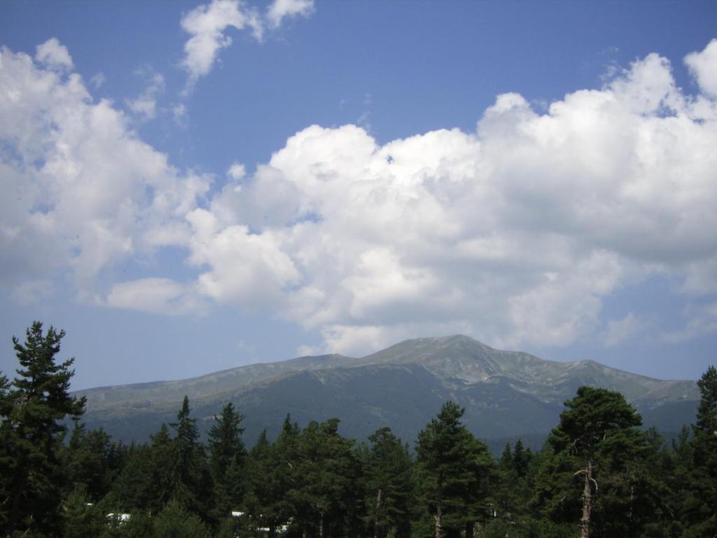 Bor Hotel Belitsa  Rom bilde